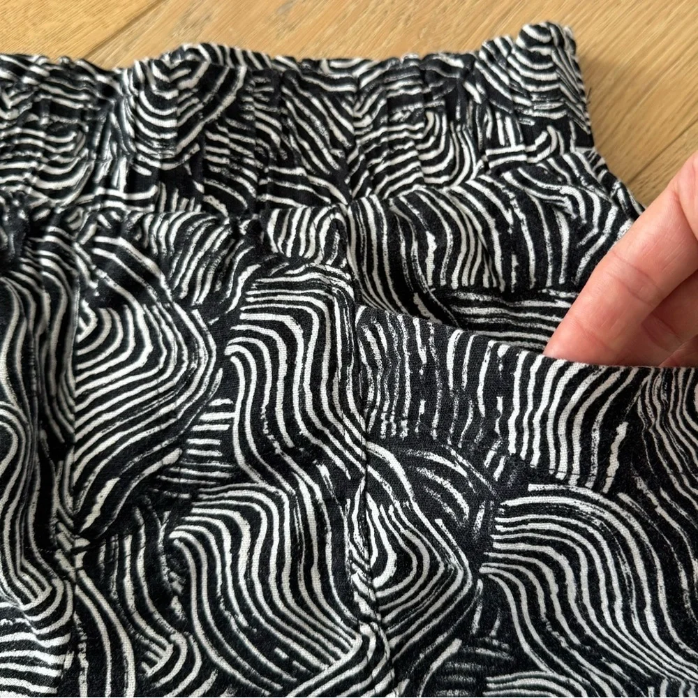 a new day bold zebra
